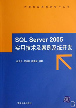 SQL Server 2005实用技术及案例系统开发 附光盘的计算机应用案例学习指南